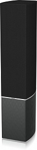 Напольная акустическая система  Tannoy Platinum F6 Цвет: Черный [BLACK]